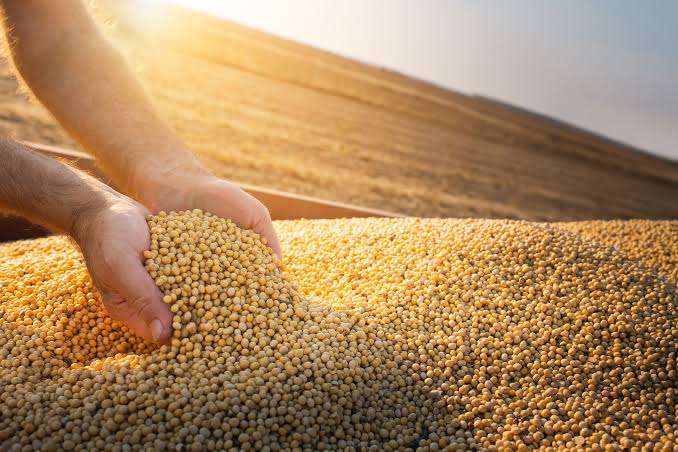 GOPAR - Agronegócio Global